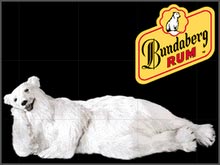 bundy-resting.jpg